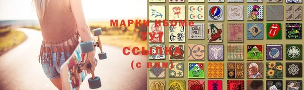 прущие грибы Богданович
