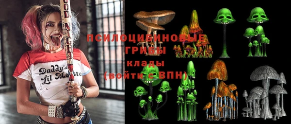 прущие грибы Богданович