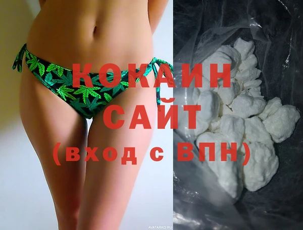 прущие грибы Богданович