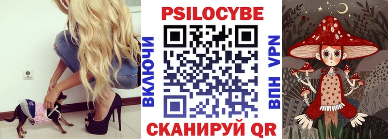 KRAKEN ссылки  Буинск  маркетплейс какой сайт  купить наркотик  Галлюциногенные грибы Psilocybe 
